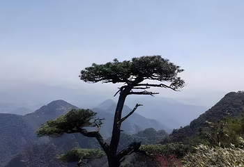 三清山风景区第 75 张图片