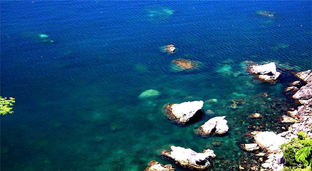 桂林洋海滨第 3 张图片