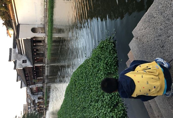 小莲庄第 25 张图片