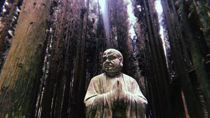 武陵山国家森林公园第 69 张图片