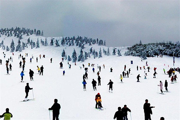 度假南山大众滑雪场第 8 张图片