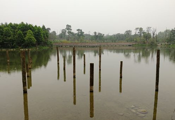 青龙湖第 16 张图片