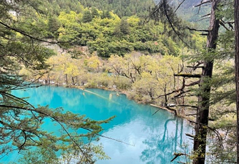 镜海第 10 张图片