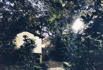 西镇吴山景区第 41 张图片