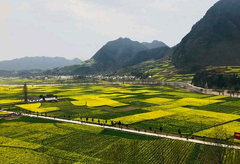 汉中油菜花海第 15 张图片