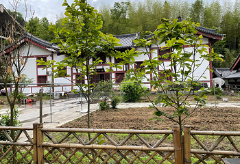 梓路寺景区第 22 张图片