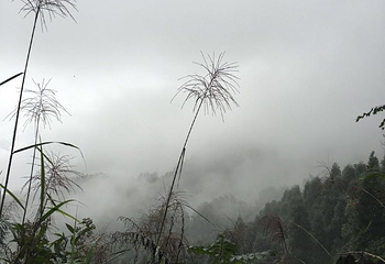 太阳湾风景区第 55 张图片