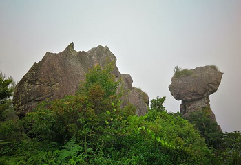 瑞云山森林公园第 52 张图片
