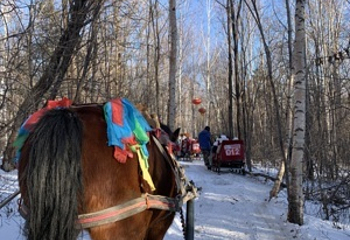 亚布力阳光度假村滑雪场第 94 张图片