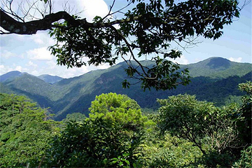 东江源三百山温泉旅游度假区第 31 张图片