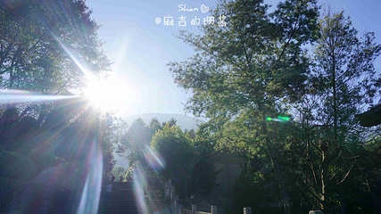 七龙女池第 11 张图片