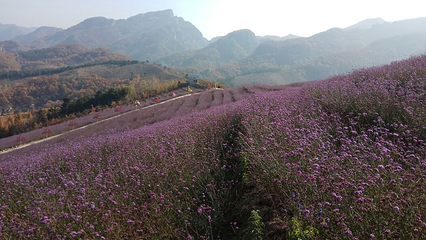 南天丽景风景区第 12 张图片