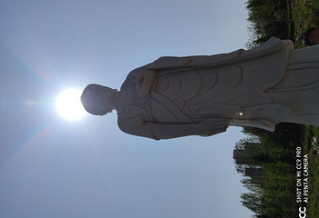 曹州牡丹园第 49 张图片