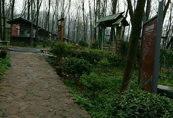 彭山景区第 19 张图片