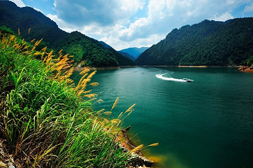 井冈湖第 5 张图片