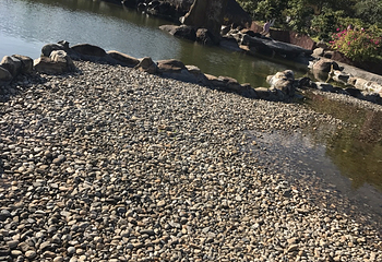 龙安新马温泉度假村第 34 张图片
