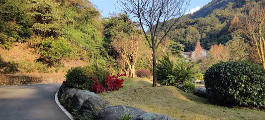 雁南飞茶田景区第 59 张图片