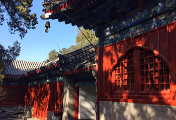 大觉寺第 28 张图片