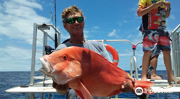 Airlie Beach Fishing Charters