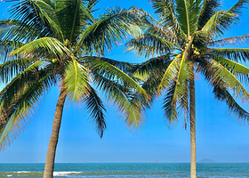 Bãi biển Cửa Đại