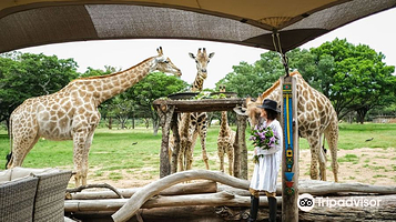 Wild Is Life Trust and ZEN