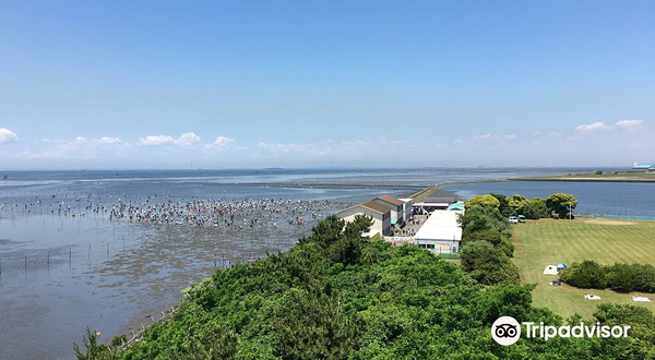 木更津海岸