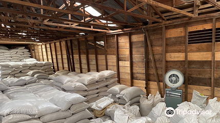 Doka Estate Costa Rica Coffee Tour and Plantation第 5 张图片