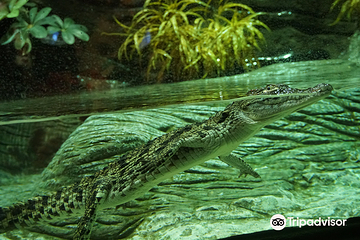 塞维利亚水族馆第 5 张图片