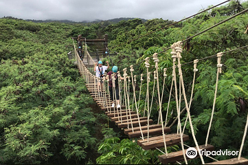 北海岸第 9 张图片