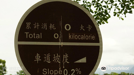 关山环镇自行车道第 3 张图片