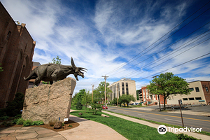 耶鲁大学皮博迪自然史博物馆