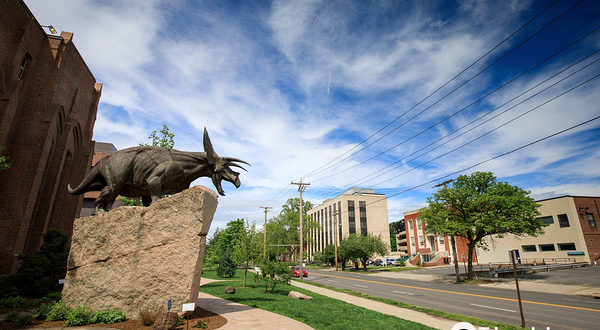 耶鲁大学皮博迪自然史博物馆