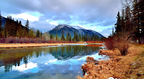 Policeman's Creek Boardwalk