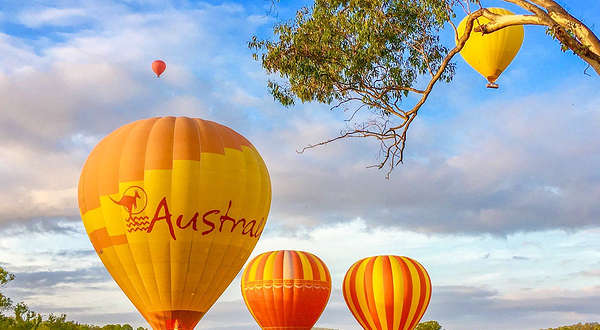 布里斯班热气球飞行