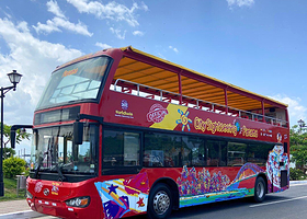 City Sightseeing Panama