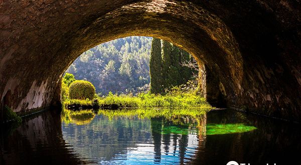 阿尔法比亚花园