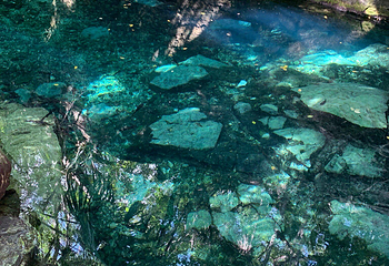 Cenote Azul第 11 张图片