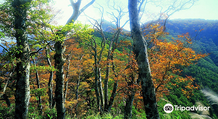 太平山森林游乐区第 6 张图片