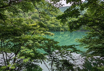 青池第 10 张图片