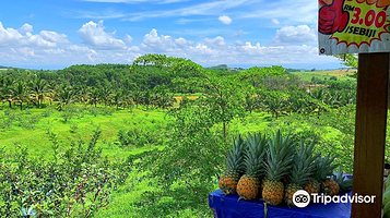 Selangor Fruits Valley SFV