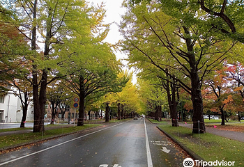 北海道大学第 50 张图片