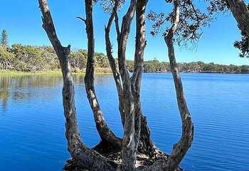 Lake Ainsworth第 5 张图片