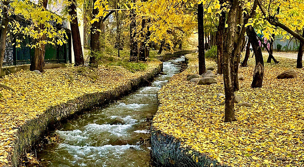 Almatinskiy Terrenkur