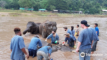 昌泰大象保护区