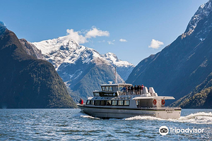 Mitre Peak Cruises
