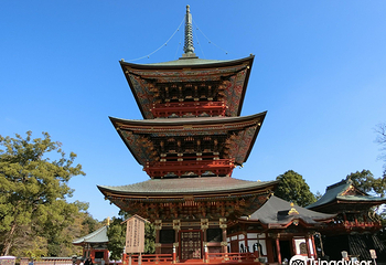 成田山新胜寺第 22 张图片