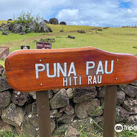 Puna Pau