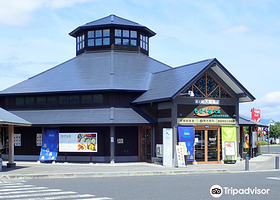 Road Station Tendo onsen