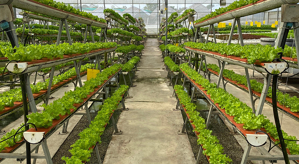 国华科艺农场私人有限公司