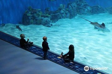 丹麦国立水族馆第 51 张图片